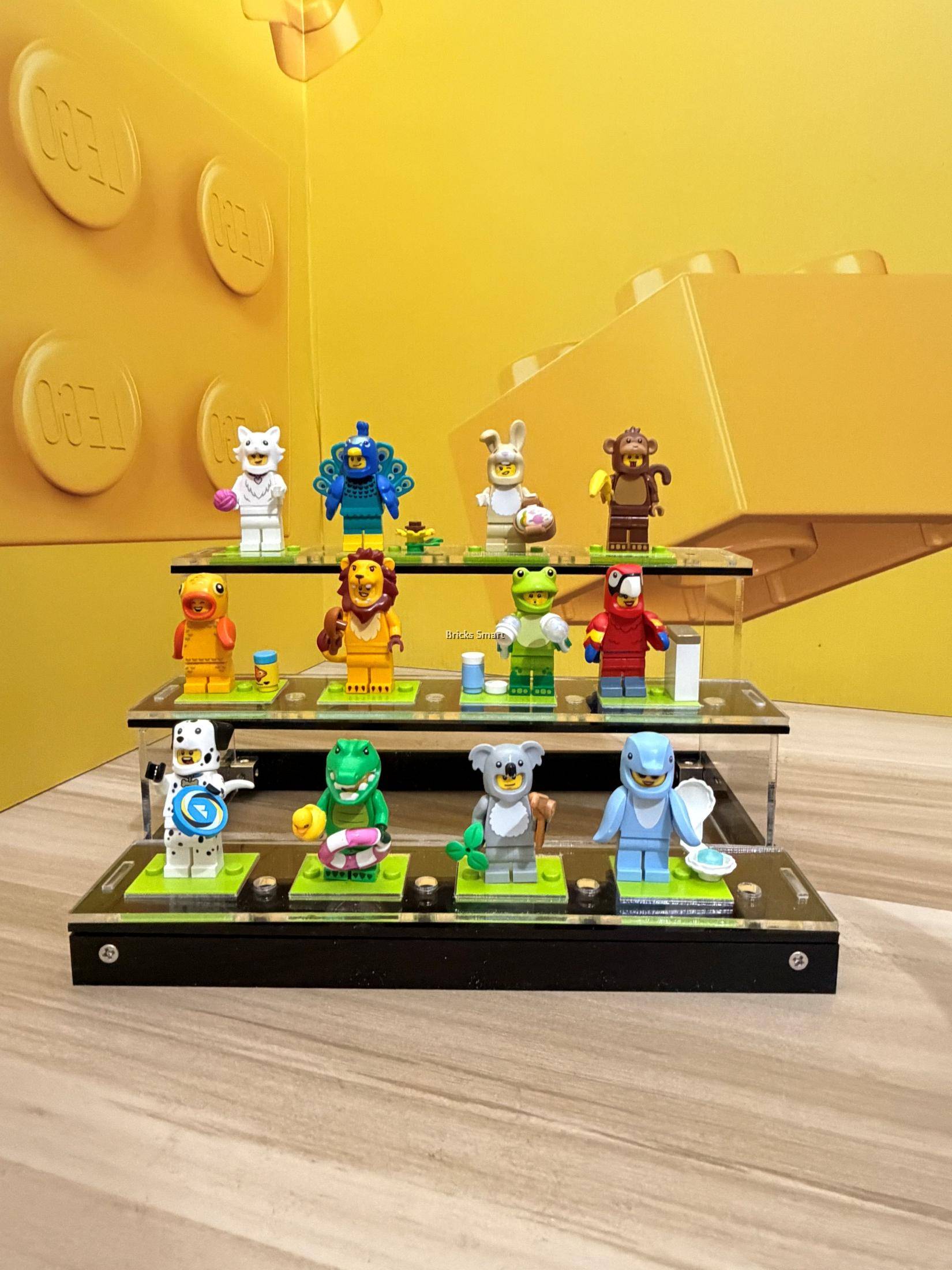 Acrylic Stand for 12 pcs Collectible Minifigures (with Base Tile)